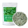Dried Capillary Artemisia Leaves, 2.0oz(56g), Premium Dried Whole Capillary Artemisia