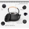 HwaGui Cast Iron Teapot Large Japanese Tetsubin Kettle with Stainless