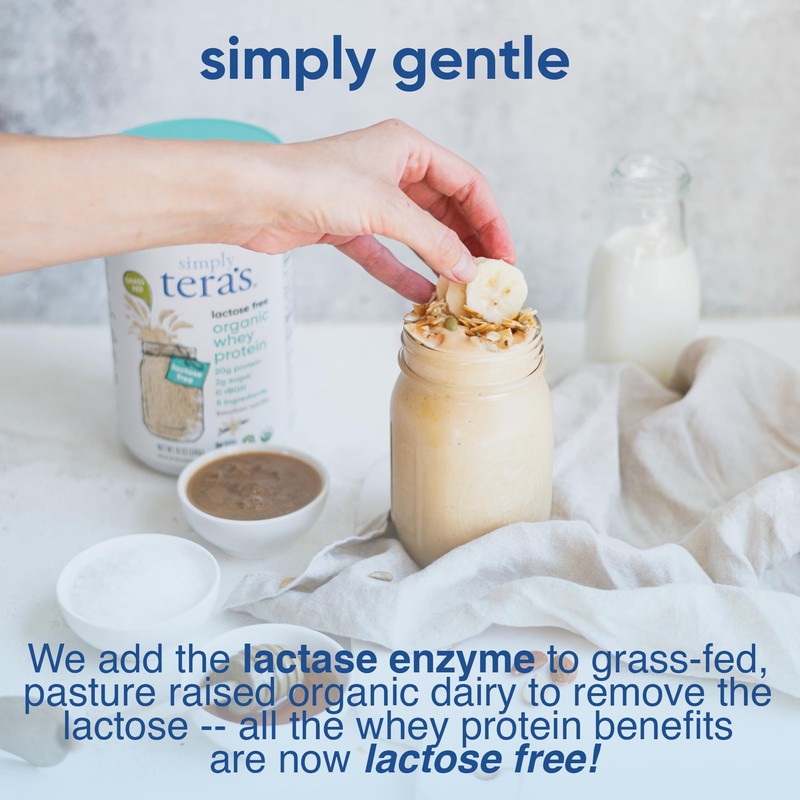 Simply tera's Lactose Free Organic Whey Protein Powder - Lactose