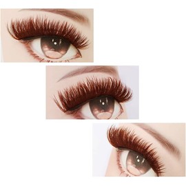 Color Brown Eyelash Clusters Mixed Size 10/12/14/16mm False Eyelashes C Curl OR D Curl to Choose Eyelash Extensions Dramatics Lashes Very Soft Material (D Curl:10/12/14/16mm)