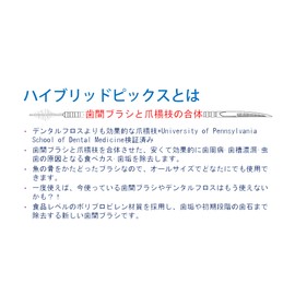 (Paper Bag) Easy Teeth Brush! Hybryid Pick Hybrid Picks, 1000 Count