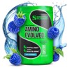 Species Nutrition Amino Evolved EAA BCAA Powder Blue Raspberry 30 Servings, 1 Piece / 스페시즈 뉴트리션 아미노 이볼브드 EAA BCAA 파우더 블루 라즈베리 30회분, 1개