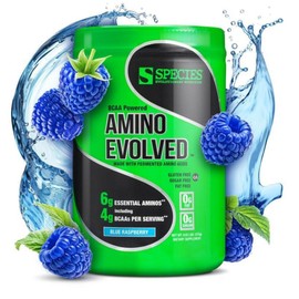 Species Nutrition Amino Evolved EAA BCAA Powder Blue Raspberry 30 Servings, 1 Piece / 스페시즈 뉴트리션 아미노 이볼브드 EAA BCAA 파우더 블루 라즈베리 30회분, 1개