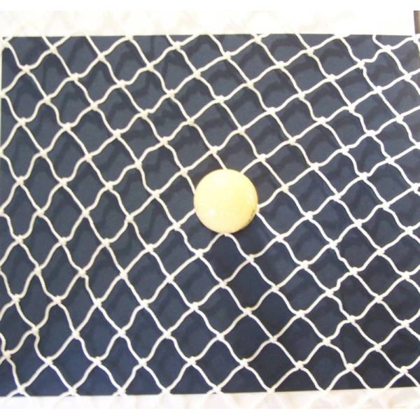 Goodwin Netting 10' x 8' GOLF IMPACT NET NYLON SPORTS