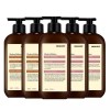 Organist 오가니스트 체리블라썸 모던 샴푸400ml(3개)+컨디셔너400ml(2개) Organist Cherry Blossom Modern Shampoo 400ml (3 pieces) + Conditioner 400ml (2 pieces)