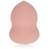 Catrice 2022-02 It Pieces Even Better Make-Up Sponge, Multicoloured, for