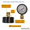 Lumonic I Pressure Gauge 0-4.0 Bar I 1/2 Inch I