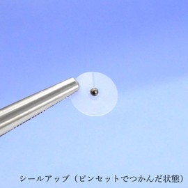 Peak Pine Transparent Ear Urn Seals, Made in Japan, 100 Pieces, Titanium Grit, 100 Pieces, Ear Urn Jewelry, Takachiho Metal
