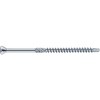 EUROTEC 110289 Wood Drilling Screws Torx 10 with Decorative Head