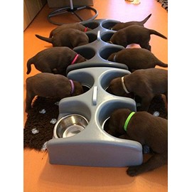 Weanafeeda Mini 6 Multiple Bowl Litter Feeder (Small/Medium Breeds)
