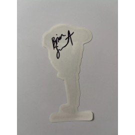 Birdhouse Tony Hawk Brian Sumner Skateboard Sticker “ENTER THE DRAGON” 2000’s