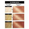 Garnier Olia 9.2 Rose Gold No Ammonia Permanent Hair Colour