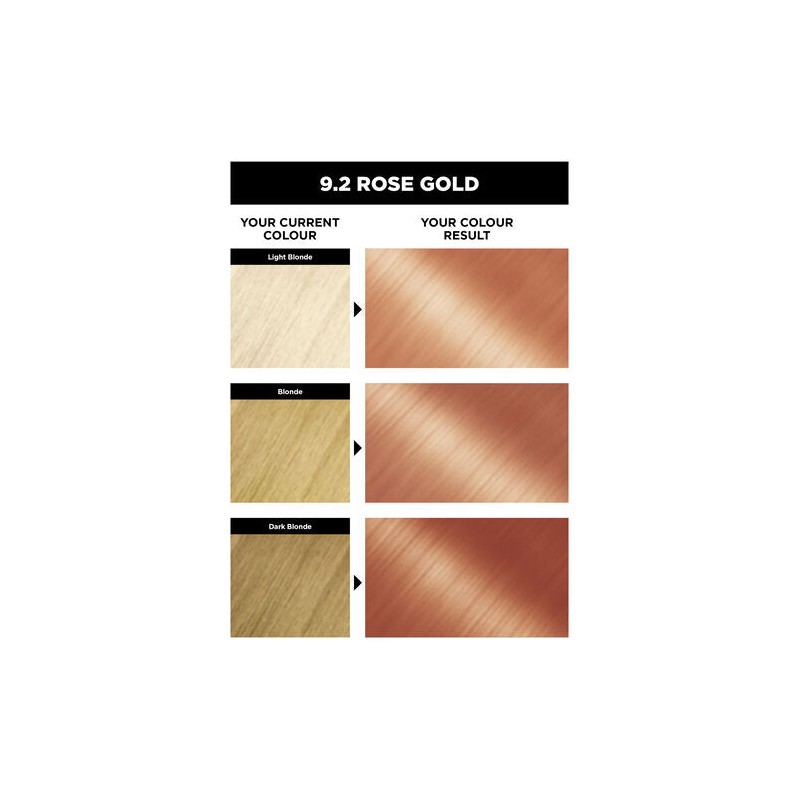 Garnier Olia 9.2 Rose Gold No Ammonia Permanent Hair Colour