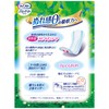 Lifely Refreshing Pads for Long Time and Night, 28 Sheets