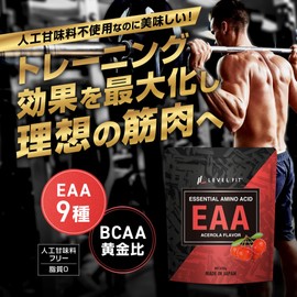ＬＥＶＥＬ．ＦＩＴ EAA 人工甘味料不使用 無添加 アセロラ風味 630g