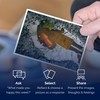 metaFox - 52 Inspirational Cards, Positive Affirmations Cards & Motivational