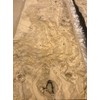 Olive Ash Burl Wood Veneer 11" x 33" with no
