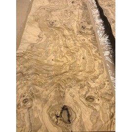 Olive Ash Burl Wood Veneer 11" x 33" with no Backing raw Veneer 1/42" Thickness