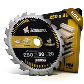 AMBOSS WERKZEUGE HM Circular Saw Blade, 250 x 30, Z20, Interchangeable Teeth for Wood, Cut to Size 250 mm, for Dewalt DWE 7492, Record Power TS250, Holzmann, Atika, Bernardo Scheppach, Mafell, etc.