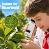 Kids Microscope Kit for STEM Learning – Portable 120X Science