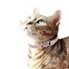 WDPAWS Heart Bling Cat Collar with Safety Belt and Bell