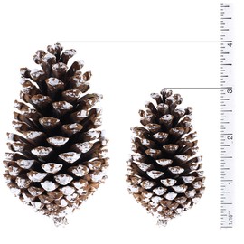 Supla 10 PCS Natural Pinecones Medium Frosted Pine Cones Ornaments Real Preserved Pine Cones - Dried -3"- 4" Tall for Home Decor Christmas Winter Xmas