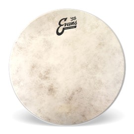 Evans Drumheads 13-Inch Calftone Tom (TT13C7)