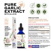 BRIGHT HORIZON HEALTH Garlic Extract Classic 1 fl oz