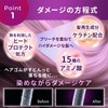 Caramoa Purple Shampoo, Murasaki Shampoo, Color Fade, Relaxing Rosewood Scent,