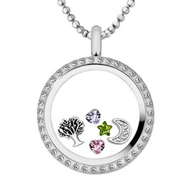 Quiges Stainless Steel Living Memory Cubic Zirconia Locket 30mm with Necklace and 5 Floating Charms