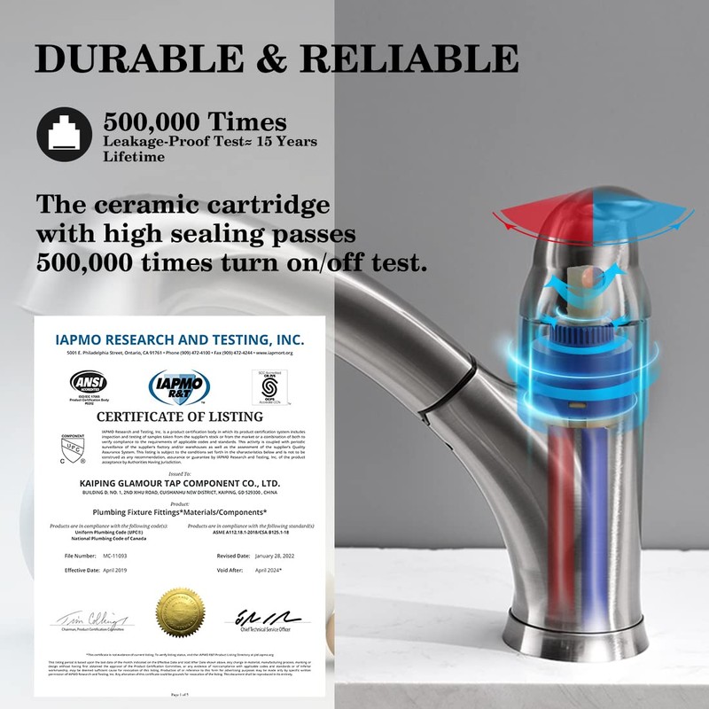 Kitchen Faucet with Sprayer, Brushed Nickel Kitchen Sink Faucet with