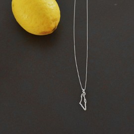 Israel Necklace for Women Holy Land Israel Necklace - Israeli Pendant Necklace, Geography Pendant with Star of David, Judaica Israel Jewelry, 17 Inches + Extension (Silver)