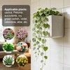 Indoor Self-Watering Planter with Drainage Hole – A Modern-Style Pot