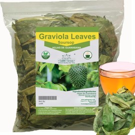 Gabio Green- Whole Soursop leaves(3oz/85gr) 180 + leaves aprox, Big Bag, Hojas de guanabana, tea Soursop, Dried Herbs. (3 oz) 180 leaves aprox.