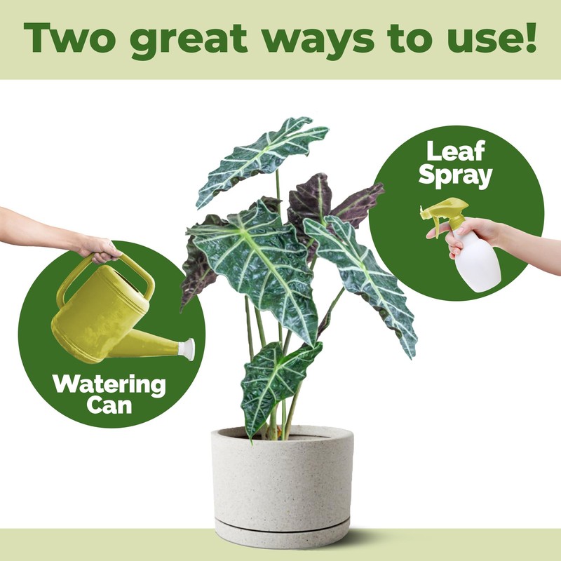 Alocasia Fertilizer, Complete Liquid Alocasia Plant Food, 8 oz (250mL)