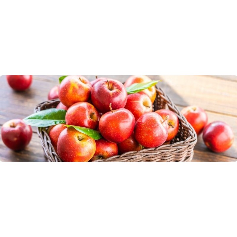 Home-Growth Extra sweet, crispy Envy Apple - 10 Seeds 2024