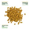 KITTY KA-ZOOM Crunchy Natural Seafood with Catnip Treats for Cats,