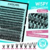 Lash Clusters Wispy 280PCS Eyelash Clusters 40D Lashes Clusters 9-16mm