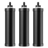 OEMIRY Replacement Carbon Cartridge for Gravity Filter System OM-CF501/502/503/504/505, Pack