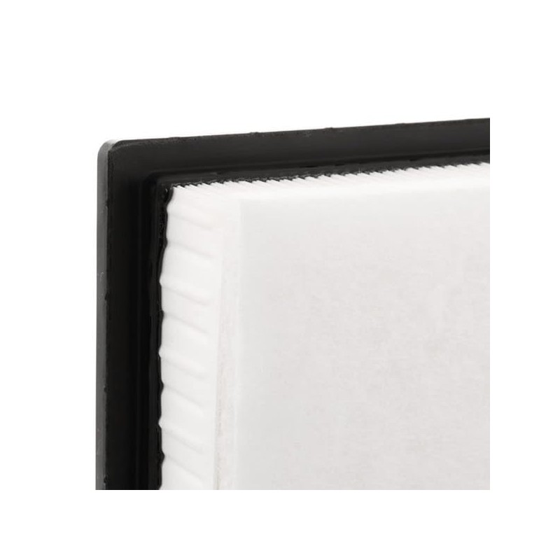 RIDEX 8A0035 Engine Air Filter Insert with Pre-Filter
