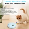 Scsuupoee Interactive Cat Toy, Electric Cat Toys for Moving Concealed