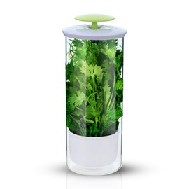 TechTack Herb Keeper and Herb Saver – Premium Borosilicate Glass Storage Container with Ventilation Slots – Easy Access Top Lid Produce Saver Cilantro Container with Drainage Holes