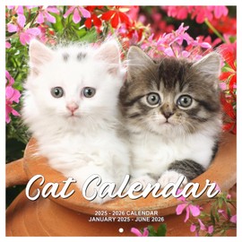 Calendar 2025 Wall Calendar 2025-2026 from Jan. 2025 - Jun. 2026, 18 Monthly Calendar 2025-2026 with Unruled Blocks, 12" x 24"(Open), 2025-2026 Cat Calendar for Office School Home Planning