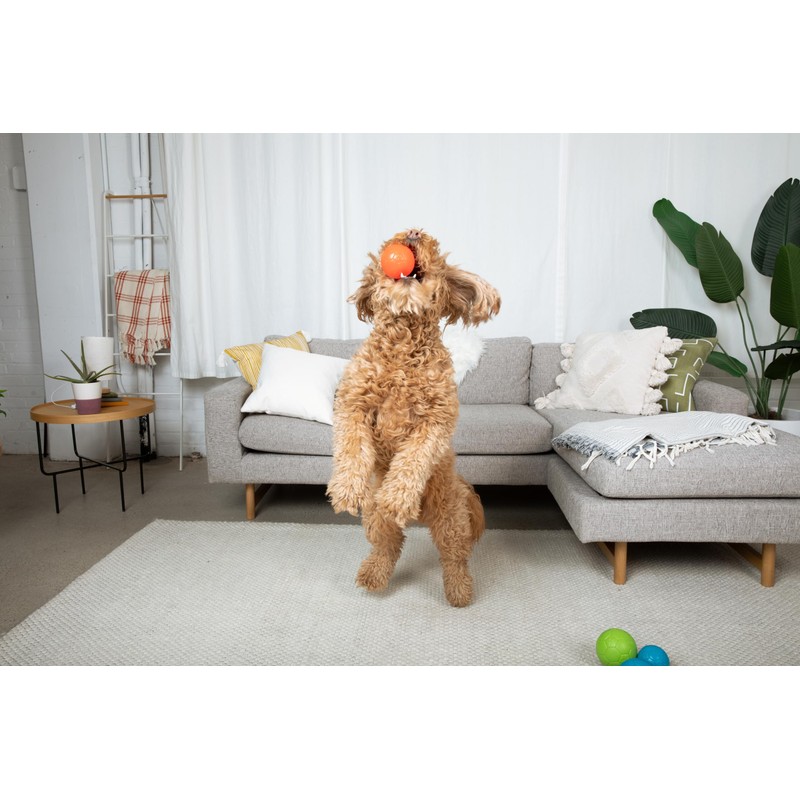 Jolly Pets Mini Jolly Soccer Ball; Floating-Bouncing Dog Toy; 3"