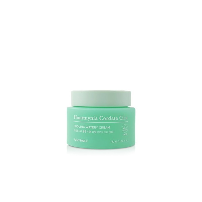 Tony Moly 토니모리 어성초 시카 쿨링 수분 크림 100ml Tony