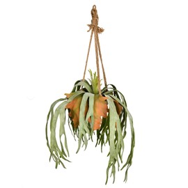 Vickerman Everyday 22" x 11" x 7" Indoor Staghorn Fern - Hanging Triangular Cone Ceramic Container - Decoration of Durable Polyester for Arrangements - Maintenance Free