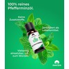 Emma Grün® Organic Peppermint Oil Essential Oil [100% Natural] -