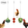 Geila Chicken Veggies Skewer Fruit Food Holder Chicken Toy for