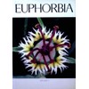 Euphorbia Journal: 4