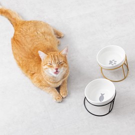 Navaris Tilted Pet Bowls with Stand (Set of 2) - Elevated Ceramic Cat Food Bowl Set for Cats and Small Dogs with Metal Wire Stands - Black and Gold